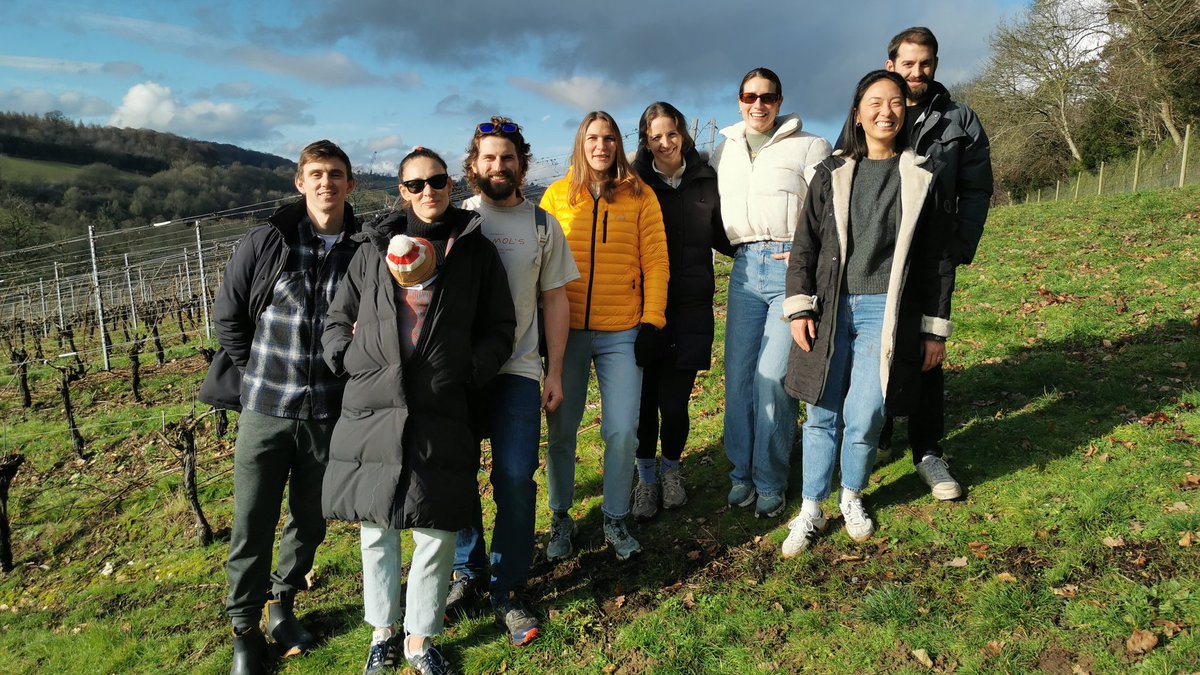 Fairmile Vineyard Henley on Thames tweet media