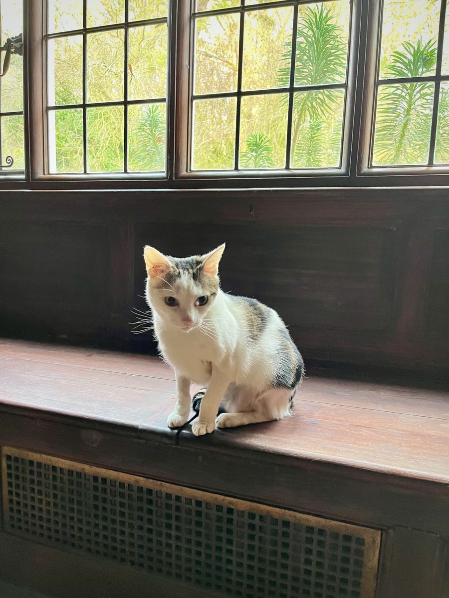 Barendina Smedley tweet media