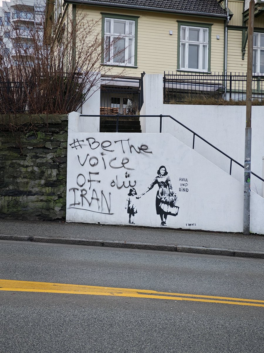 millamorphine's tweet image. I love, admire, and respect the iranian people so much 🦁☀️ #JavidShah #IranRevolution2026