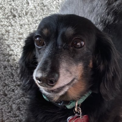 Brian Todd: Writer of YA fantasy books. Journalist tweet media