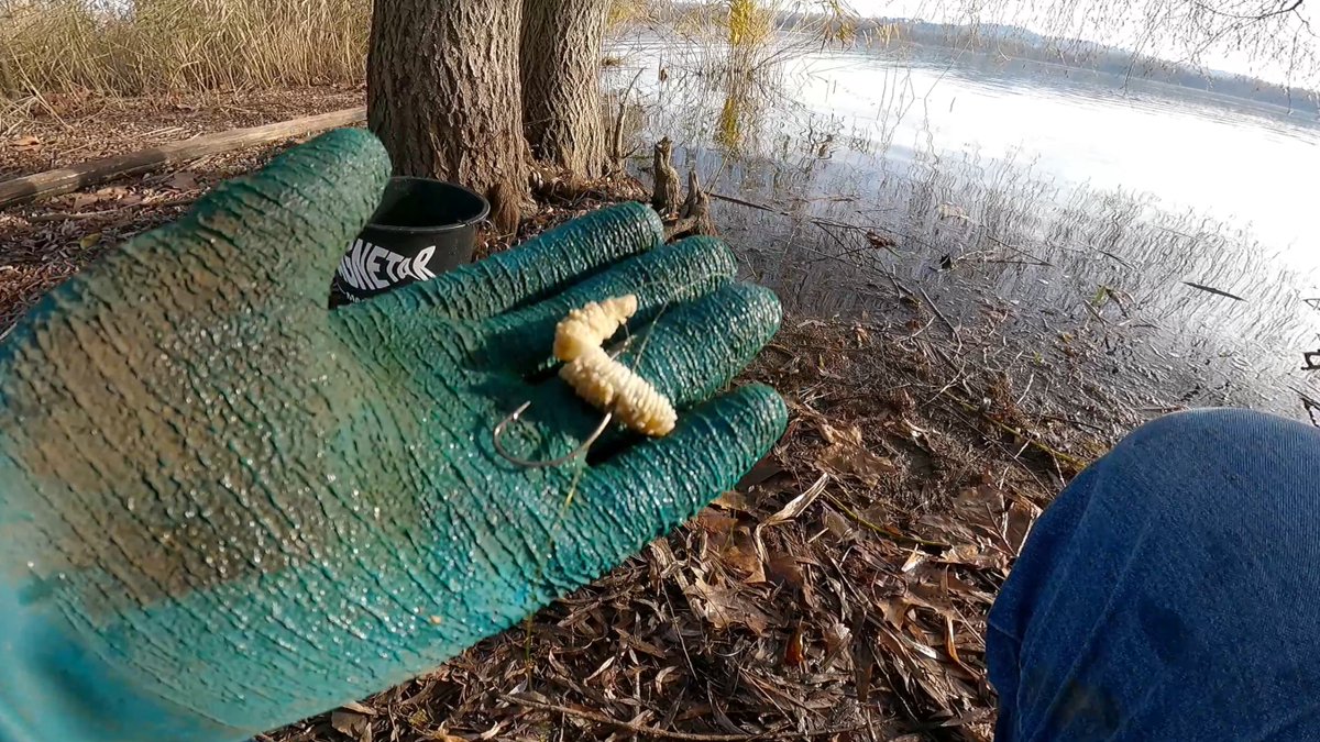 WalkingTrek's tweet photo. Un'altra bella giornata di pesca magnetica, e ancora un sacco di rottami recuperati dal lago. 
https://t.co/SvV8PQvJUr https://t.co/k0HuIgXerC