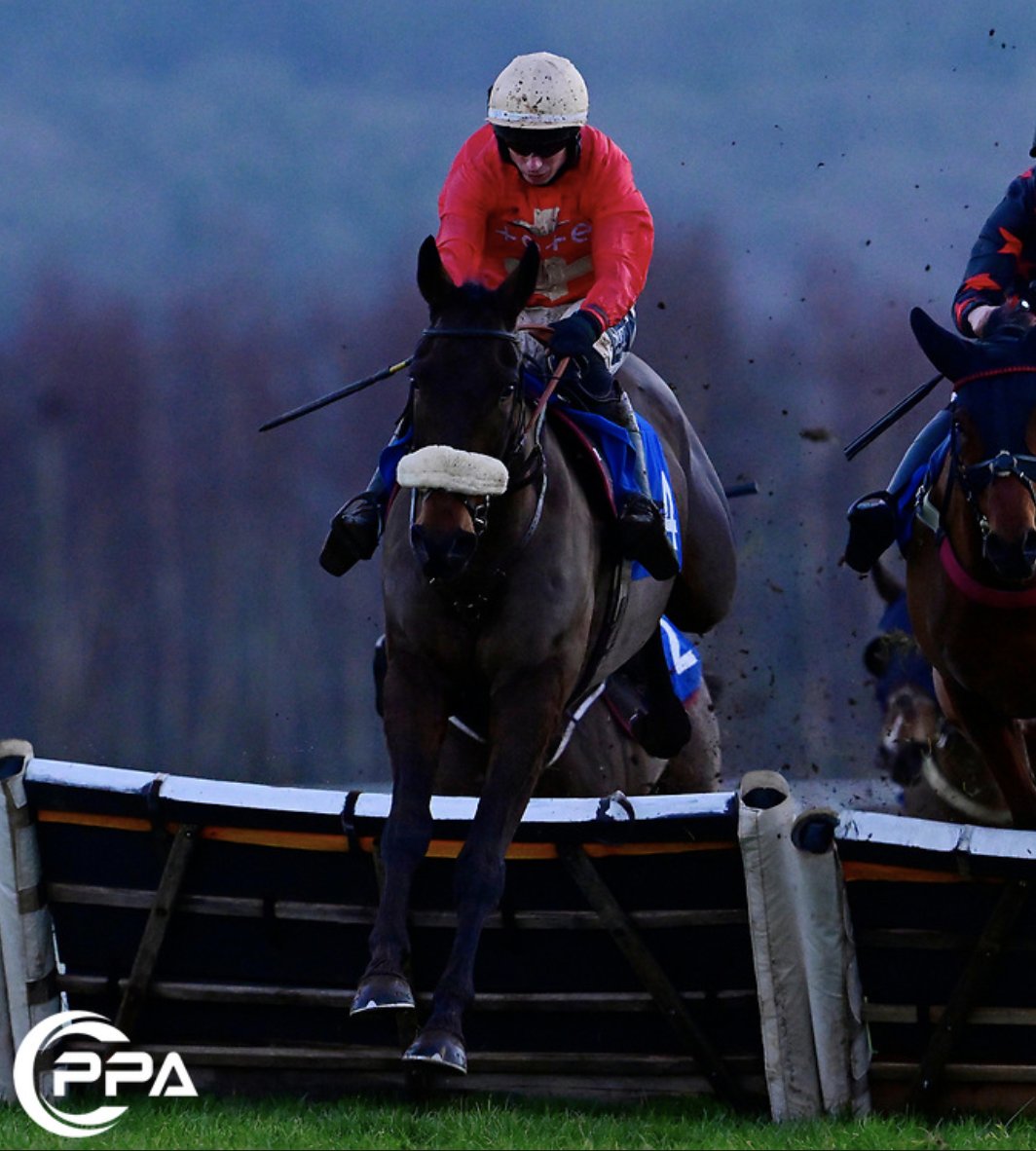 PPA Sports Content tweet media