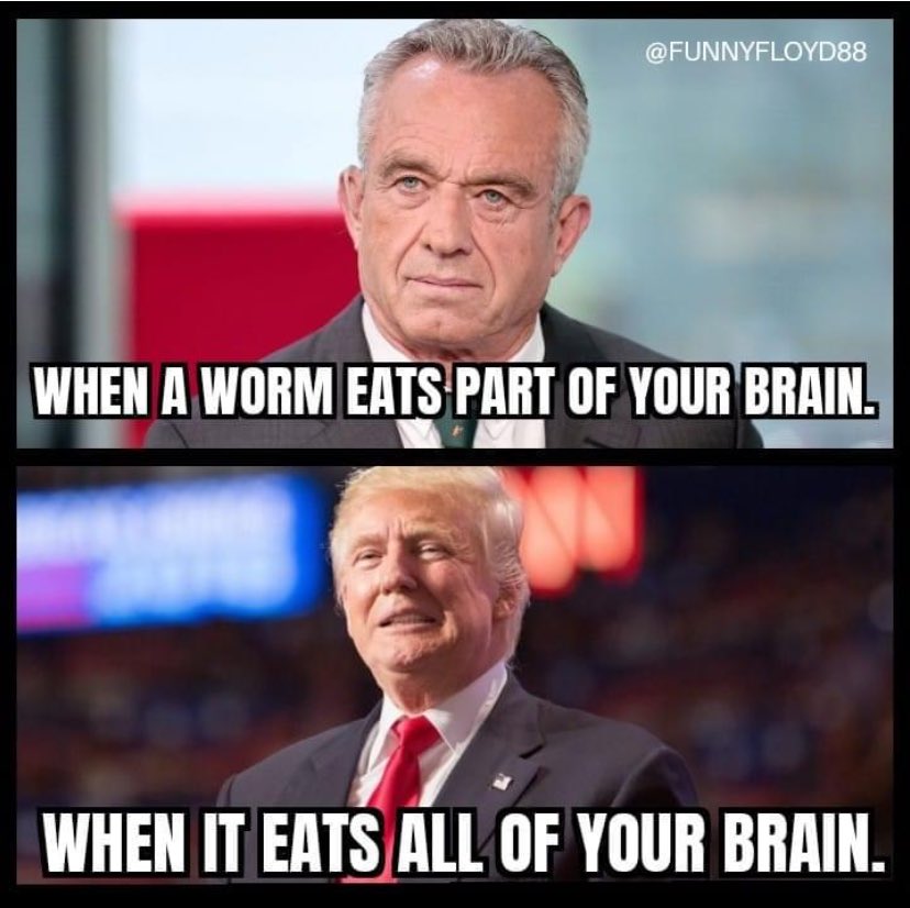 100% Canadian 🇨🇦 ☀️ tweet media