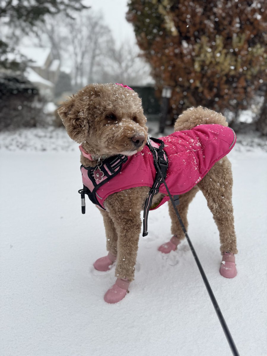 ivanaspade's tweet image. Can we please take a moment to appreciate my sweet baby angel and her chic fit