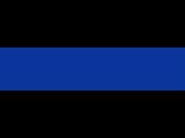 sevware's tweet image. I saw someone with an Austrian thin blue line flag on his backpack today and it was so silly cause it looked like this lol