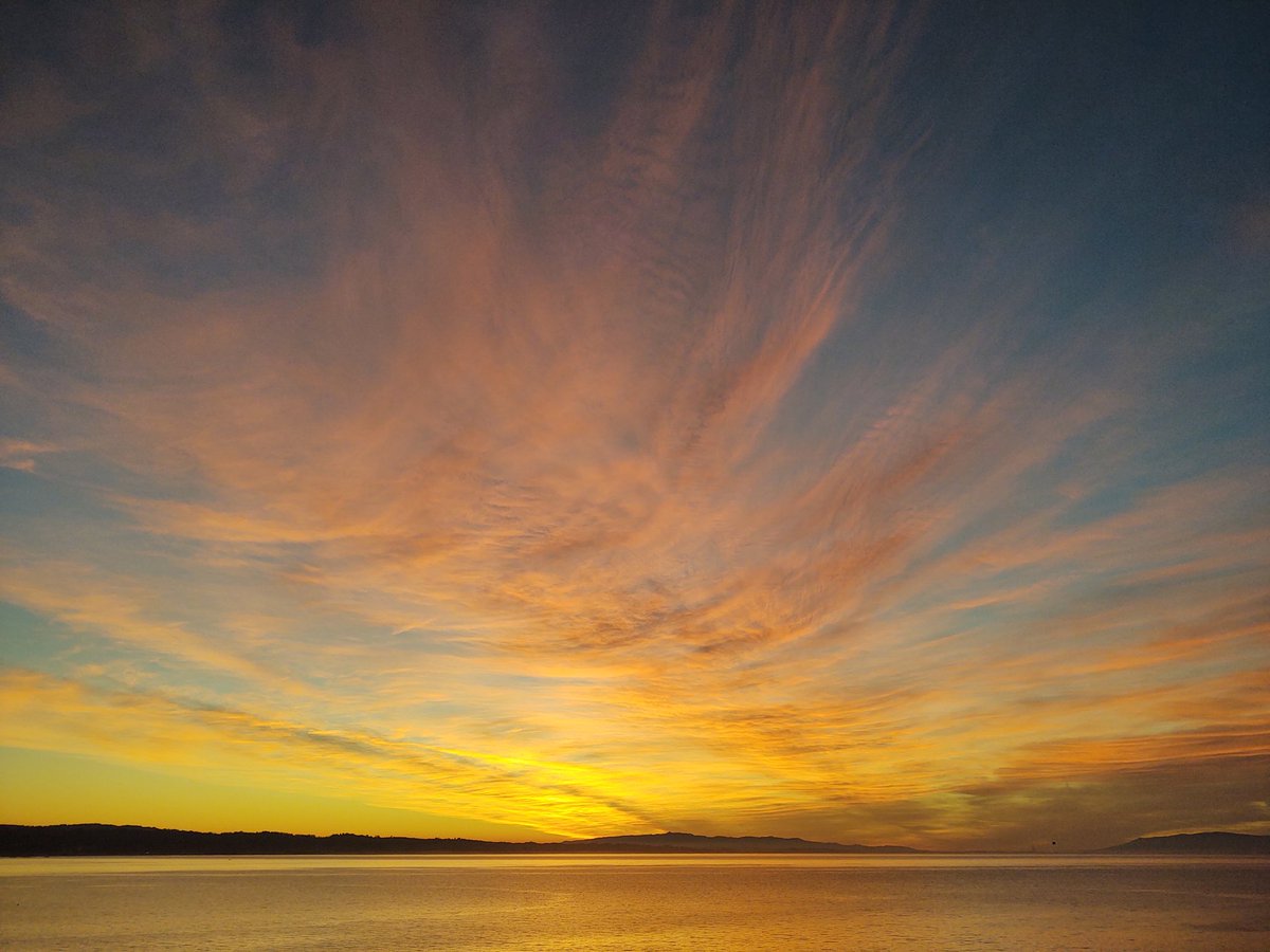 Diana Lane 💖⛵️💙🇺🇦💛🐈⬛ tweet media