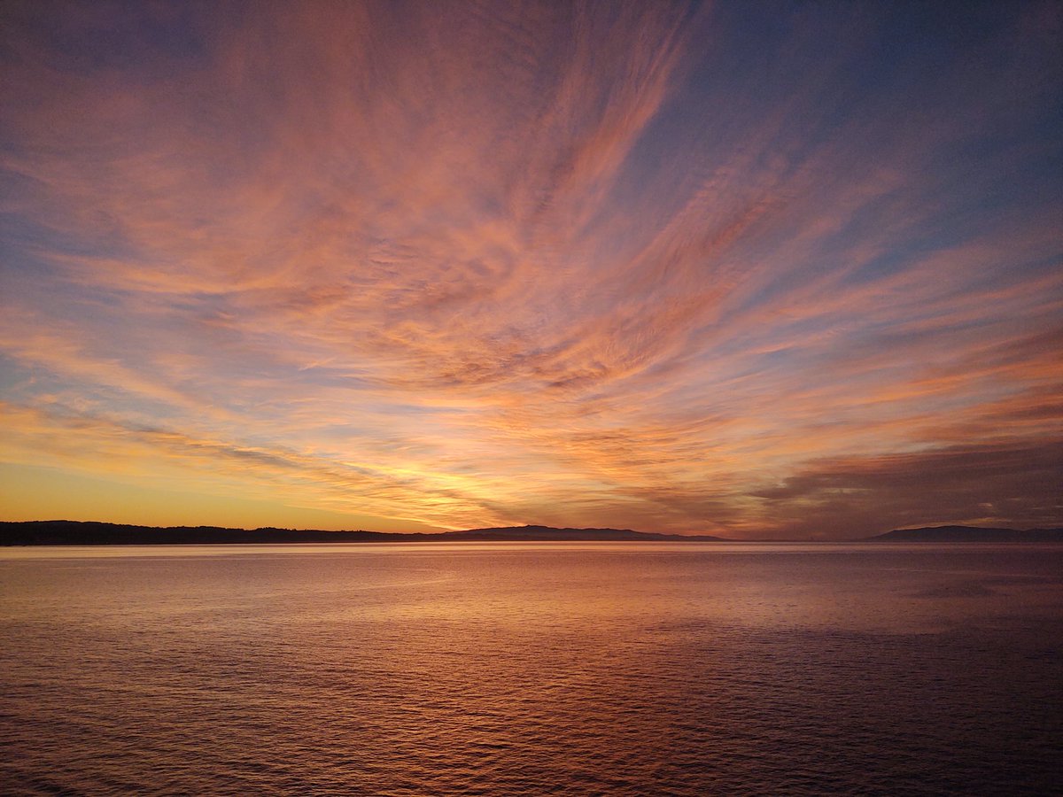 Diana Lane 💖⛵️💙🇺🇦💛🐈⬛ tweet media