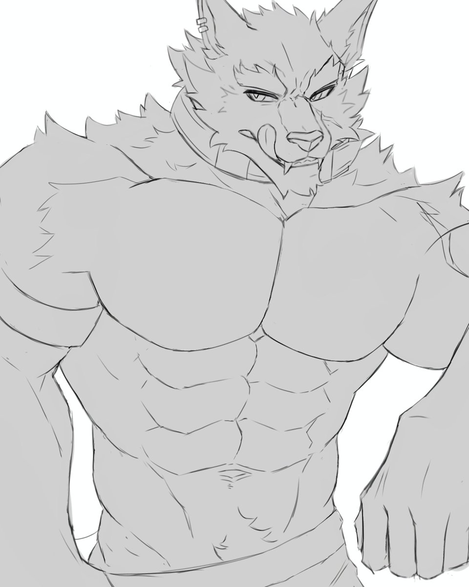 Freddy 🐺✨