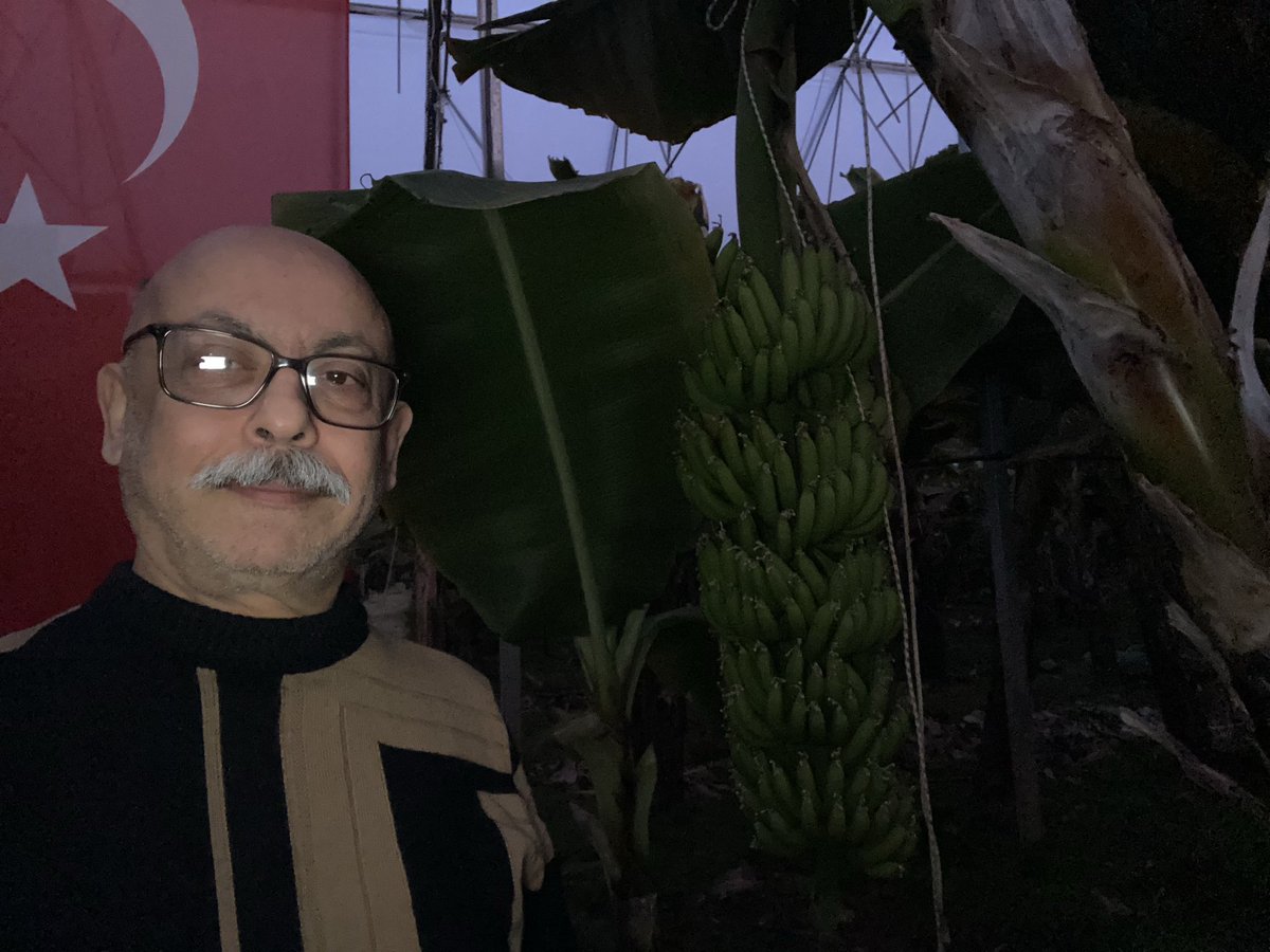 Antalya Muz serasından İyi akşamlar