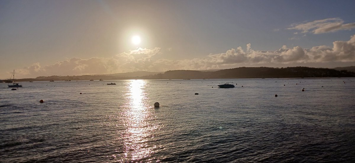 The Rowan Amber Mill tweet media