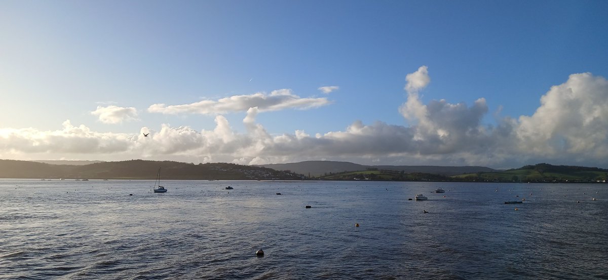 The Rowan Amber Mill tweet media