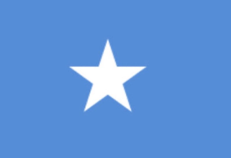 IanJaeger29's tweet image. BREAKING: The US State Department is expected to end all Foreign aid to Somalia permanently.
