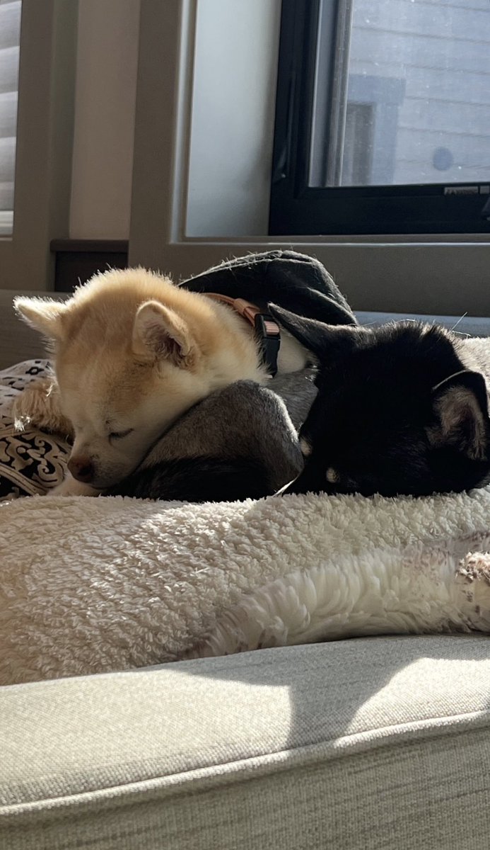 rennersource's tweet image. 