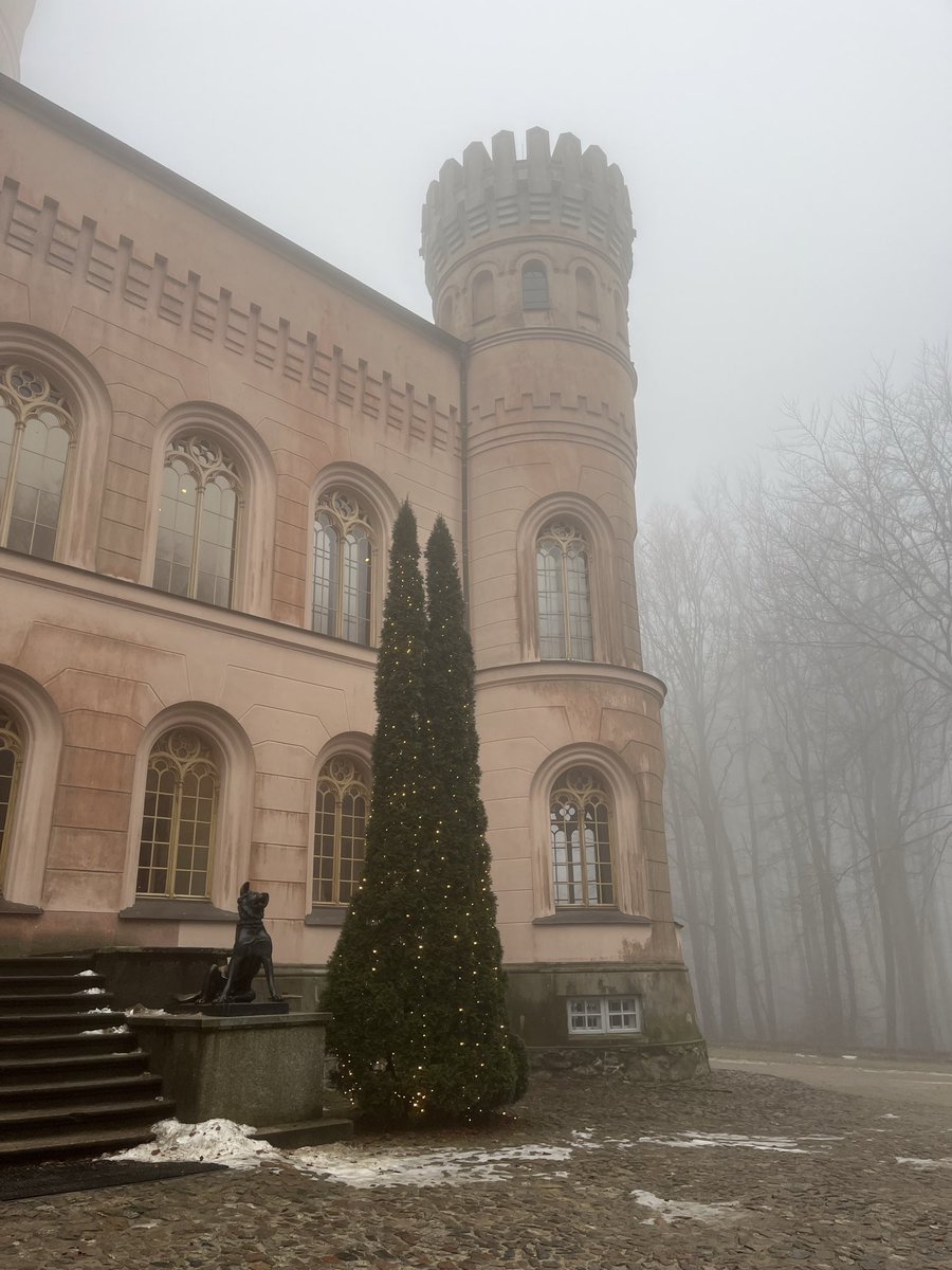 Lilia130881's tweet image. Im Küstennebel durch den Wald … #ostseeliebe #mvtutgut
