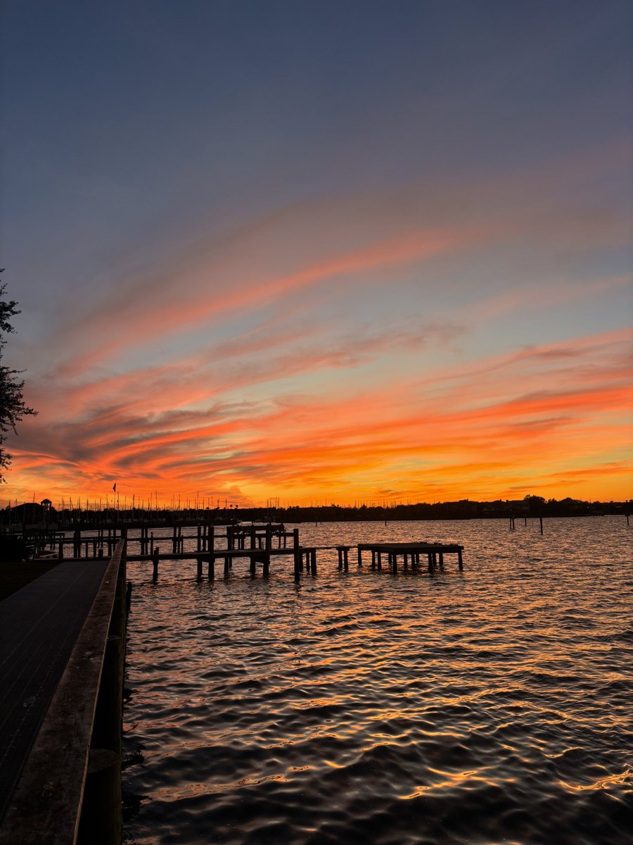 Reed Hamilton tweet media