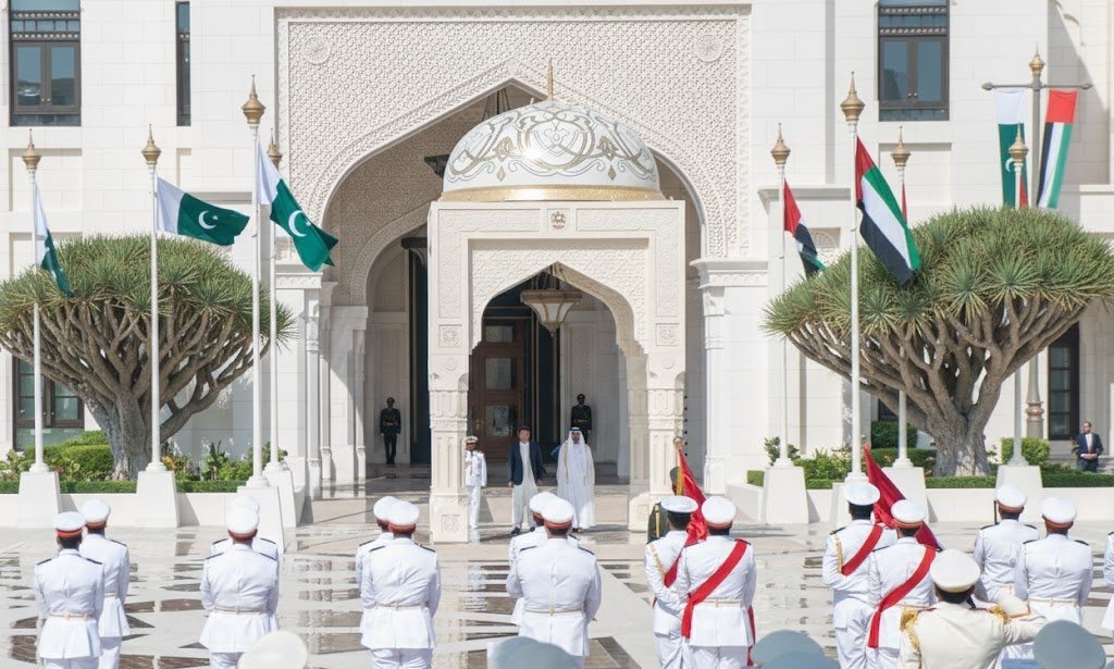 وين بلاقي هالنوع من الشجر لو سمحتو ؟