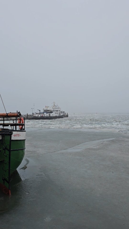 Hiddensee Forum tweet media