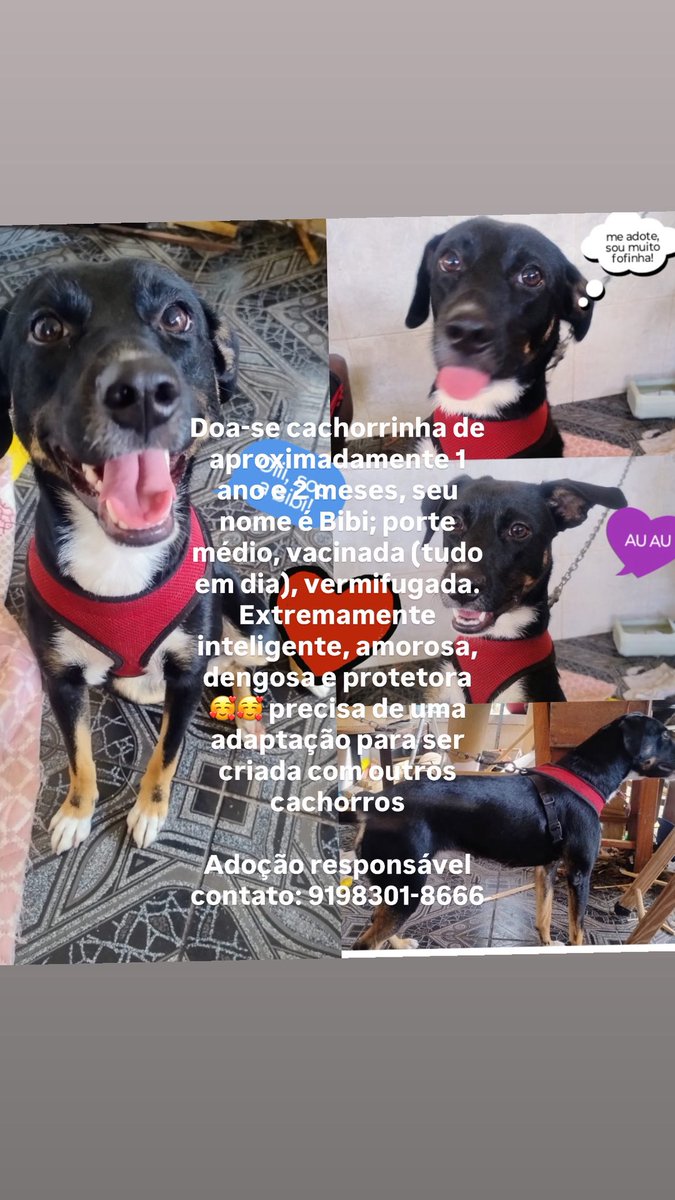 Danifadul's tweet photo. https://t.co/wbYJQjtplb
