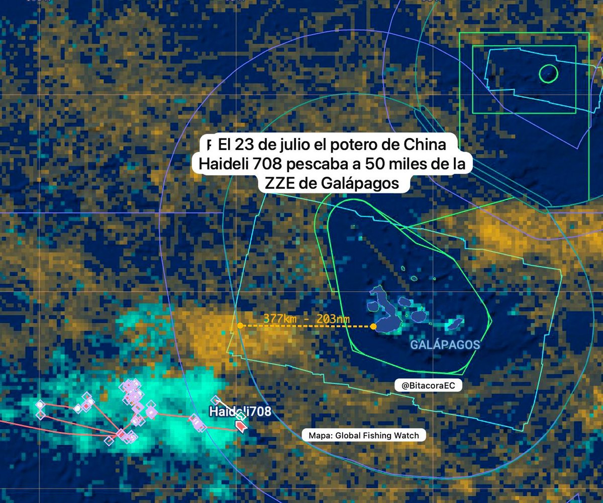 Leonel Fuentes Sáenz de Viteri tweet media