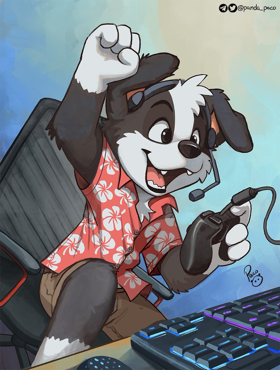 PacoPanda tweet media