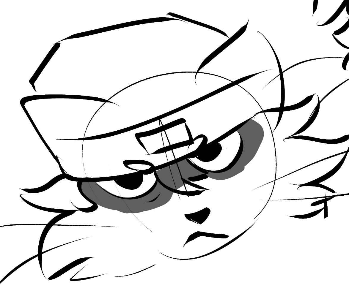 cheefli's tweet image. 