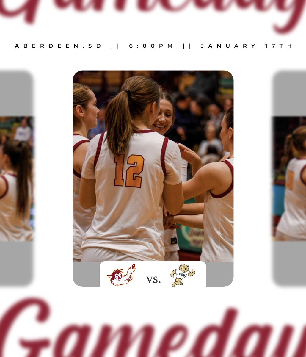 nsuwolves_wbb's tweet image. It’s GAMEDAY🤟🐺

@nsuwolves_wbb 🆚 Concordia-St.Paul 

⏰ 6:00 PM
📍Aberdeen, SD

📺📊nsicnetwork.com/nsuwolves/

#GoWolves🐺 | #maroonNgold🐾