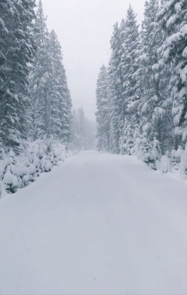 Airfemale14's tweet photo. ๐บ๐ธ We Are Going To Own This Mountain By The Time We're Done!
#UTAH #SnowBaby โ๏ธ #WarriorDownTime ๐ https://t.co/zXuQzKsdGW