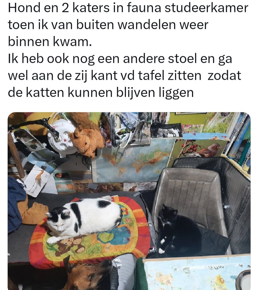 insect_ecole_HR's tweet photo. Een vd vele dagen gedurende dal-seizoen november december januari en februari https://t.co/tsAzUb92cX