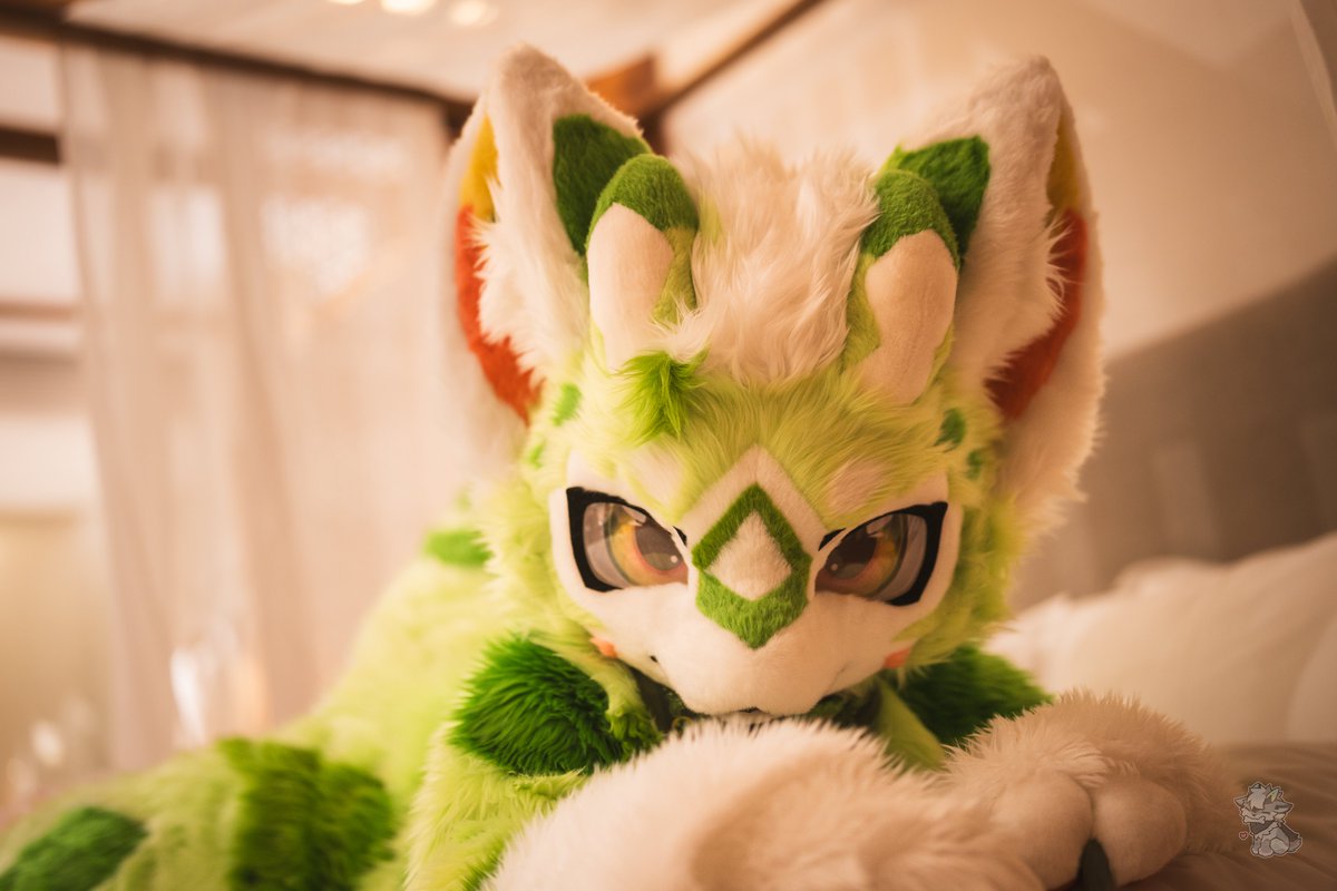 DHuangxin's tweet photo. 还没睡呢？小笨蛋
#furry https://t.co/4ebTp51G5P
