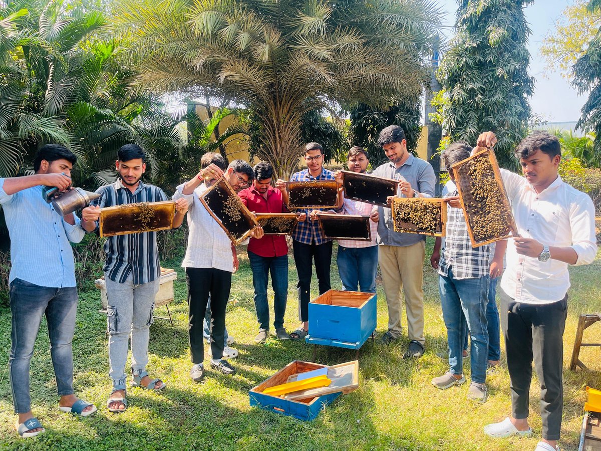 Indian Institute of Millets Research (ICAR-IIMR) tweet media