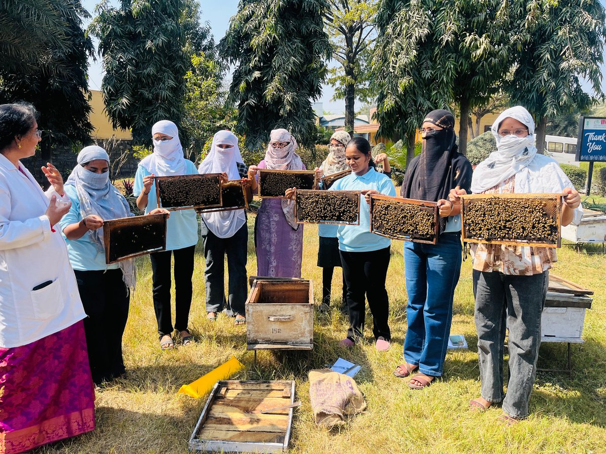 Indian Institute of Millets Research (ICAR-IIMR) tweet media