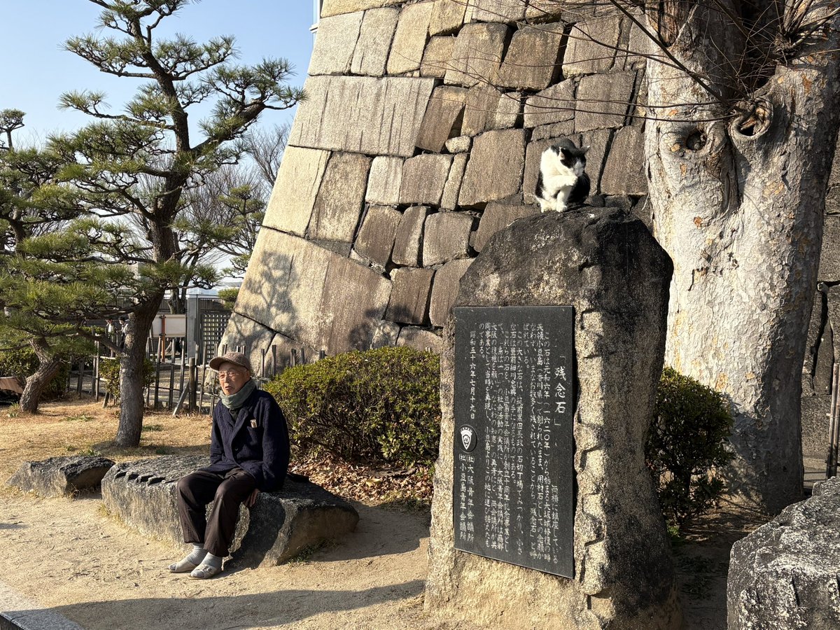 Japan trip essentials: passport, phone, <a href="/KASTxyz/">KAST</a> 

Earn 4% cashback with my ref
go.kast.xyz/VqVO/Q9GMS8WU