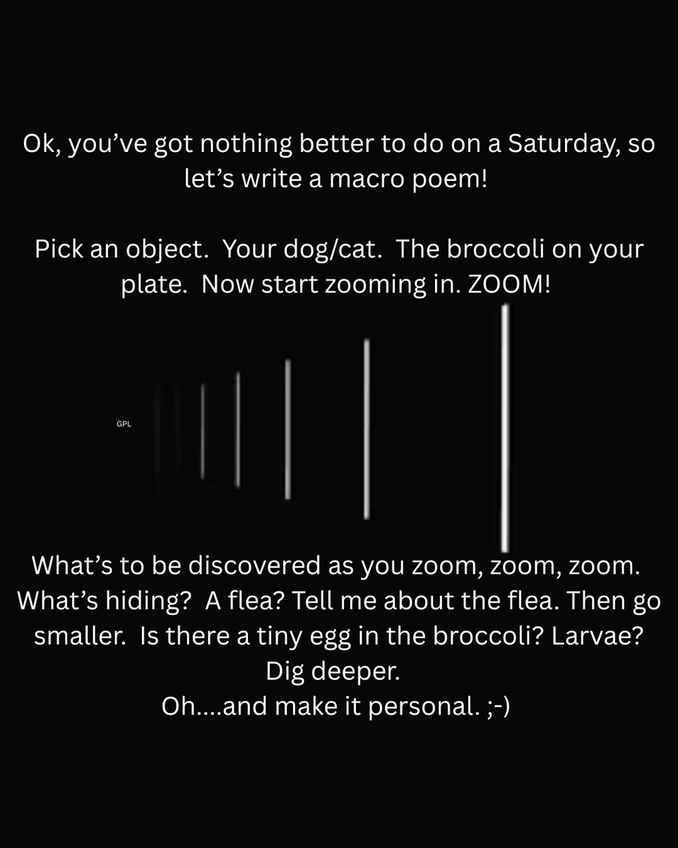 gutpunchliterary (@gutpunchlit) on Twitter photo 