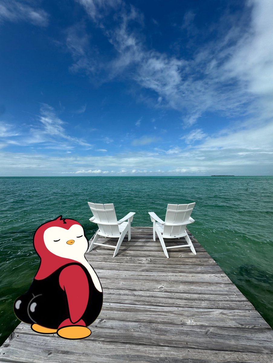 gm, beautiful day for a beautiful day ☀️