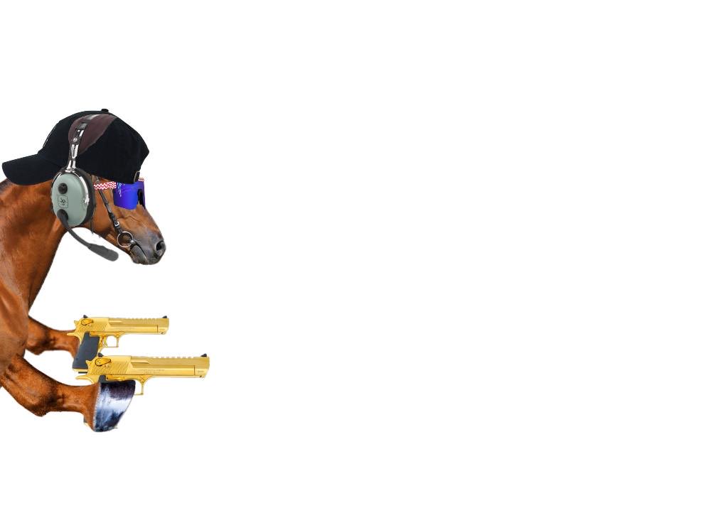 Flying Ketamine Horse tweet media