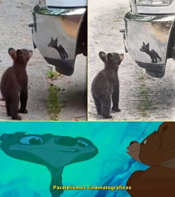 MsCiencia2's tweet image. Paralelismo cinematográfico🪄