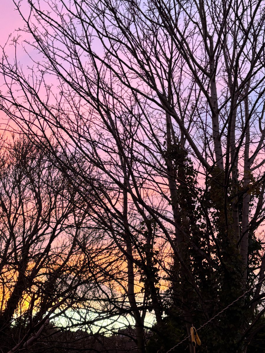 Nature's happiness and stunning colours