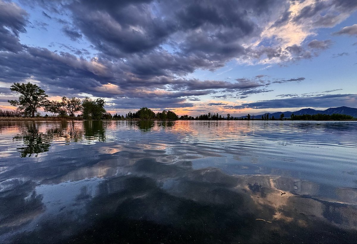 D Miller tweet media