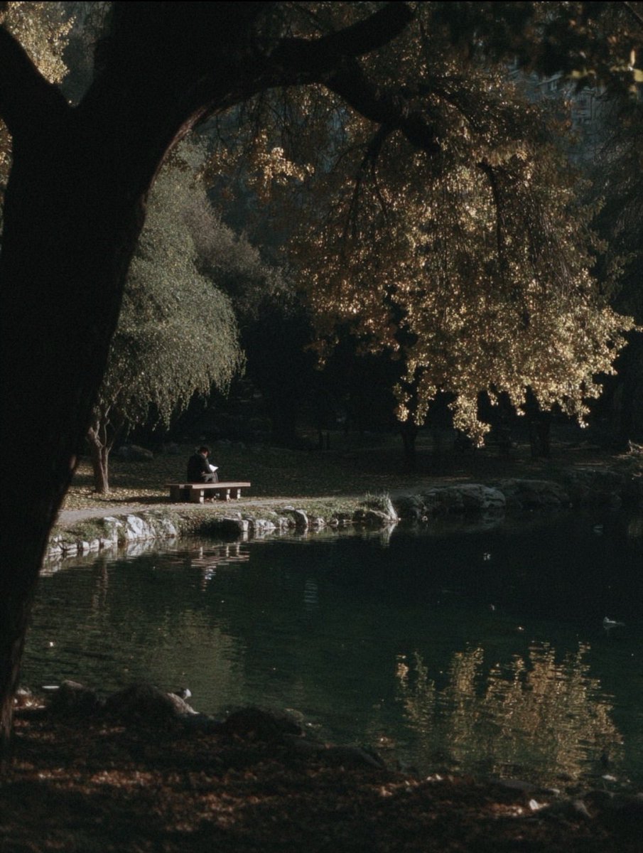 greenvibe's tweet photo. Soft fall ✨ https://t.co/w3JJtTYSNB