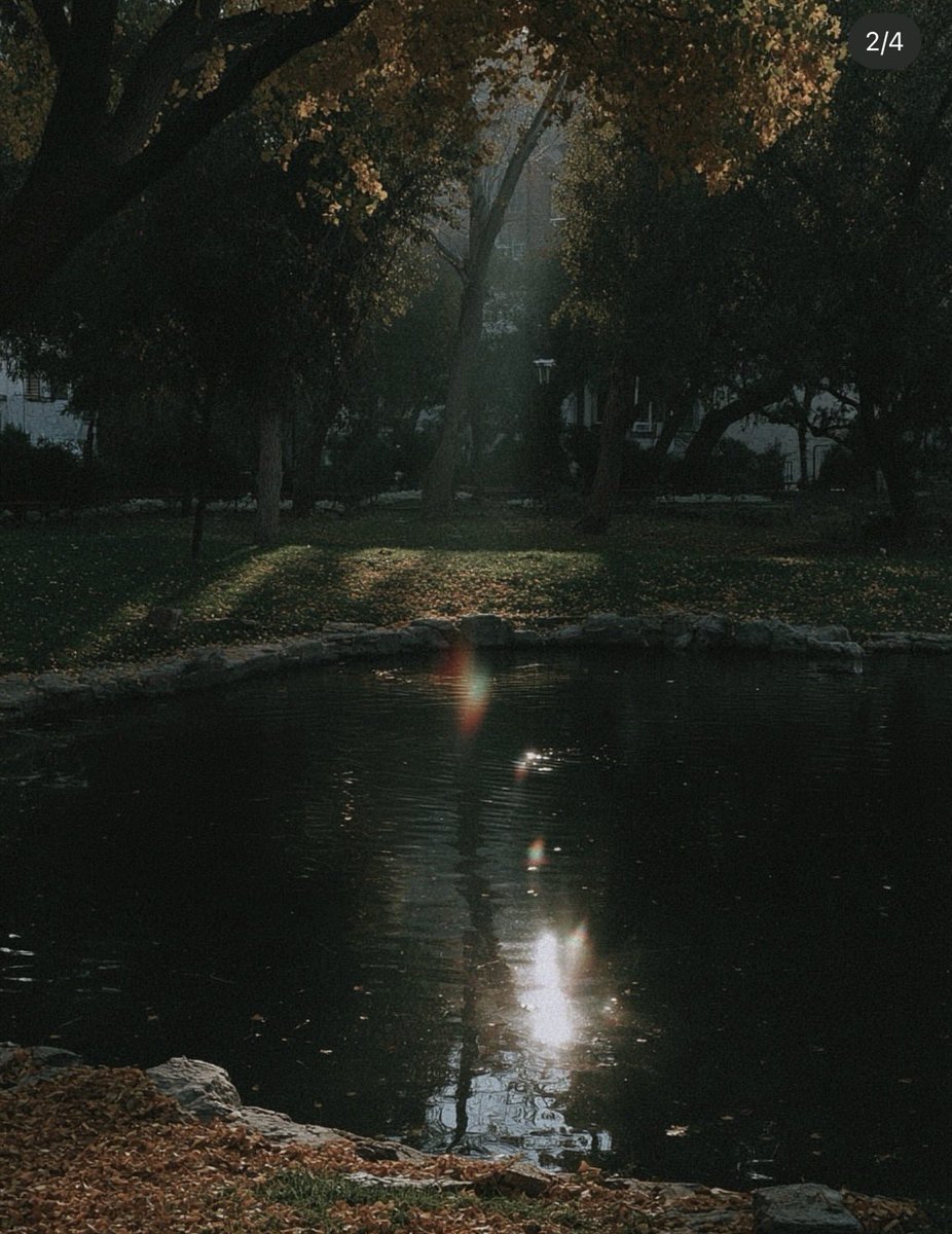 greenvibe's tweet photo. Soft fall ✨ https://t.co/w3JJtTYSNB