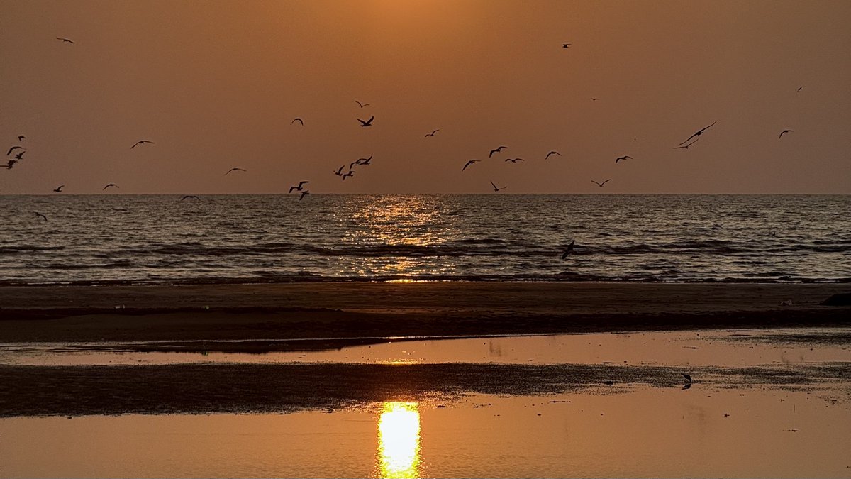 ultramarineil's tweet image. 