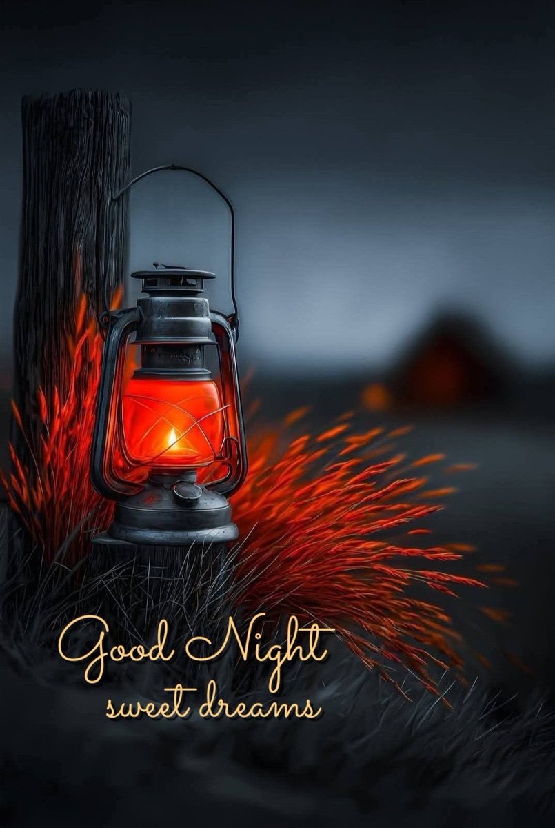 BoBo_ethhh's tweet image. good night fam💕
Can i get a gn.