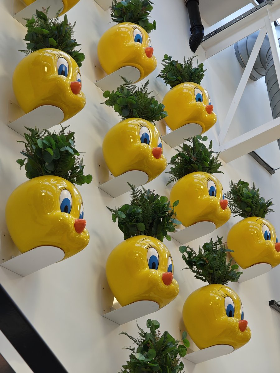 DerrenGoneDigital tweet media