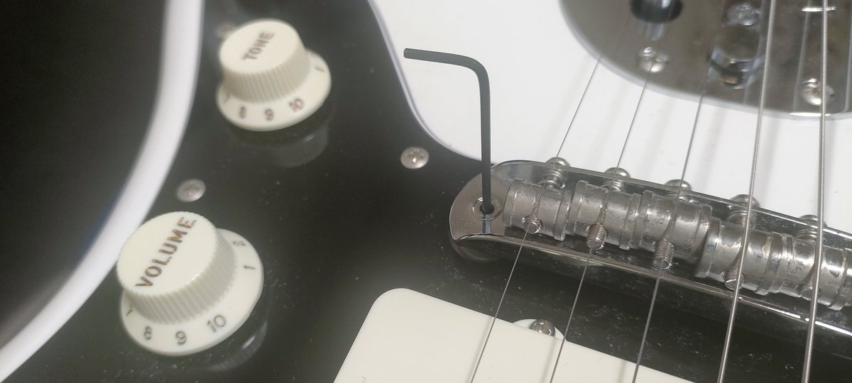 我が家のジャズマス君、1弦ハイポジチョーキングすると音が切れてしまい。コレが音詰まりという症状だと勉強できたはいいが今度は弦高調整方法がわからん。
え？六角レンチガバガバなんだけど？と思ったら突然ズブリと奥に入って手応えアリ。
え…そんなの知らな…しゅごいぃ…また1つ大人になっ…（略