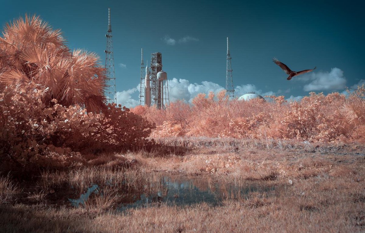 I really hope we get more of these false color infrared photos of SLS ...