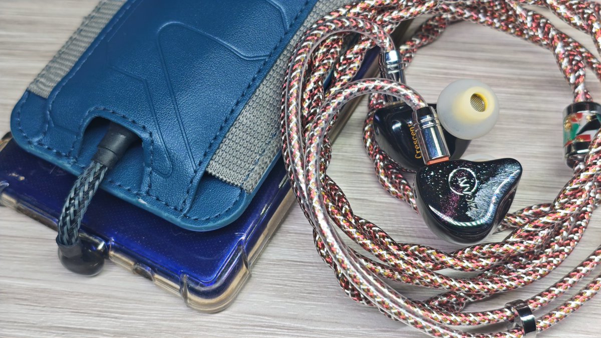 グラデ金魚のイヤホンジャックε( ε•o•)э。゜ グラデ金魚のイヤホンジャックε( ε•o•)э。゜ ROSE TECHNICS AURA EVO