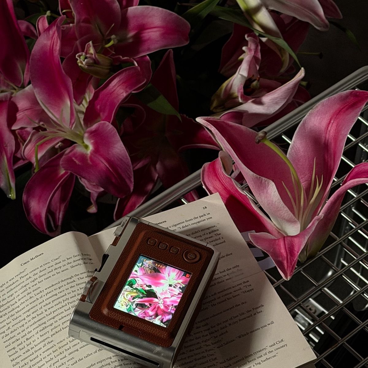 resplendence tweet media