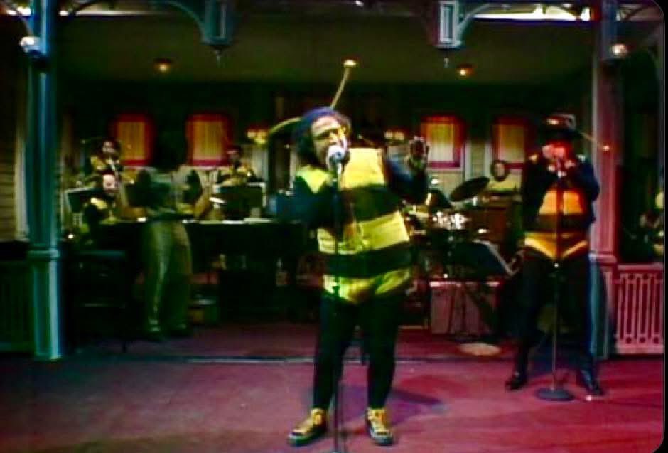 On tonight’s episode of Saturday Night Live a new musical comedy act, “The Blues Brothers,” are introduced. 

The men, John Belushi and Dan Aykroyd, are wearing bee costumes and performing a song called “I’m a King Bee,” by Muddy Waters.