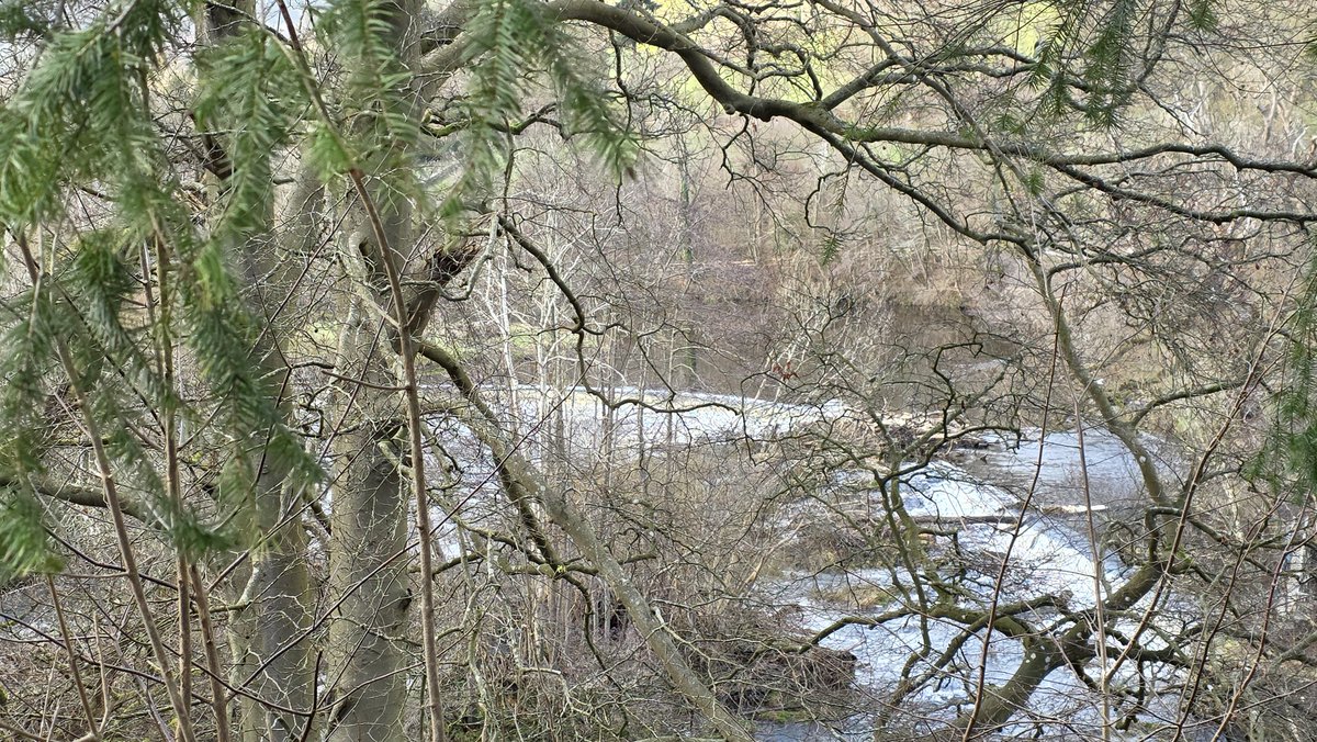 💕 Joanne Ormesher 💕 tweet media