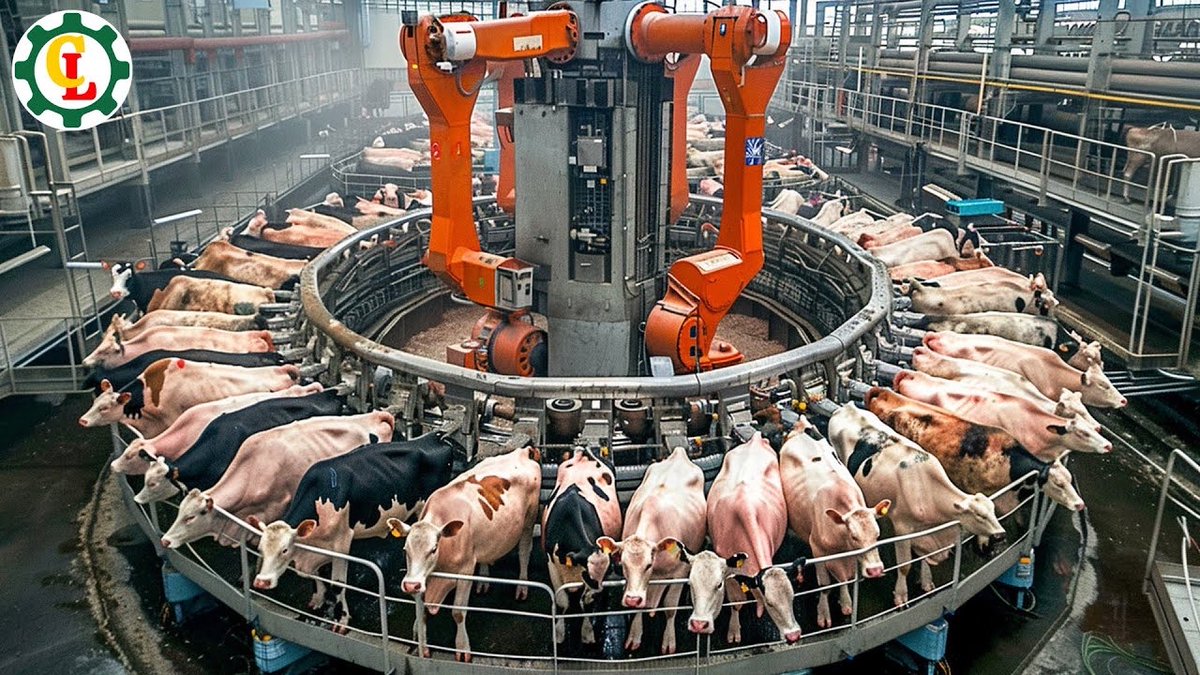 Countr_Intel's tweet image. 